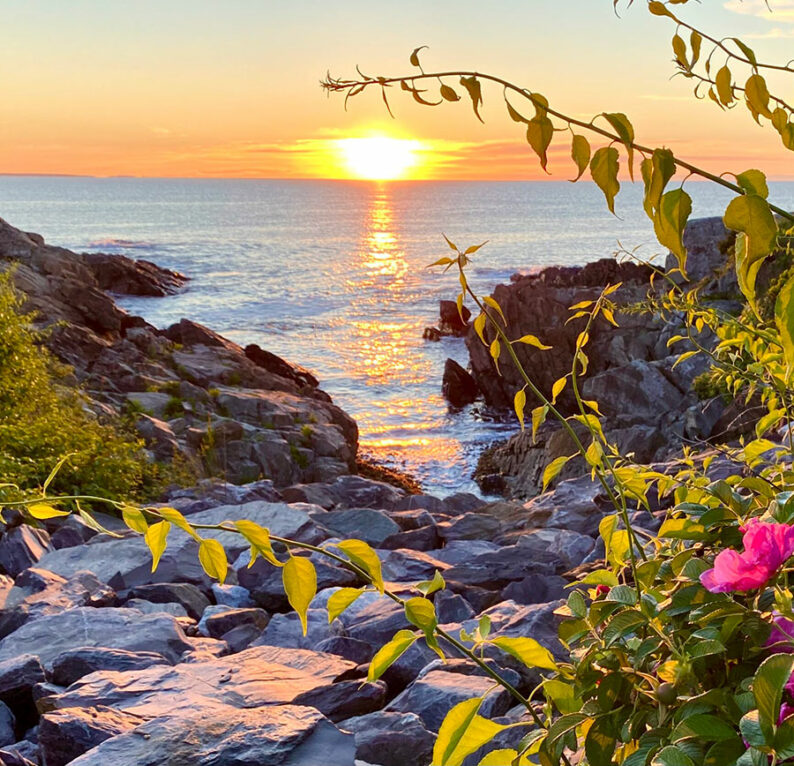 Ogunquit Resorts - Marinal Way rocks beach roses-sunrise